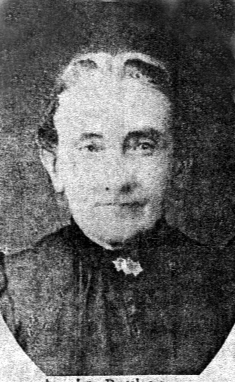 Anna Parkes (1837 - 1906) Profile